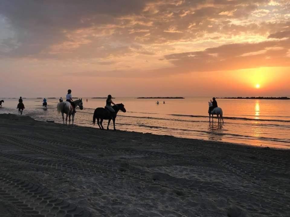 Villa Demi Lido di Pomposa Ngoại thất bức ảnh